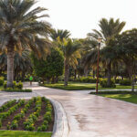 Best Parks in Doha