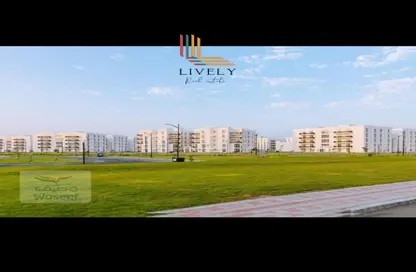 Apartment - 3 Bedrooms - 4 Bathrooms for rent in Barwa Village - Al Wakra